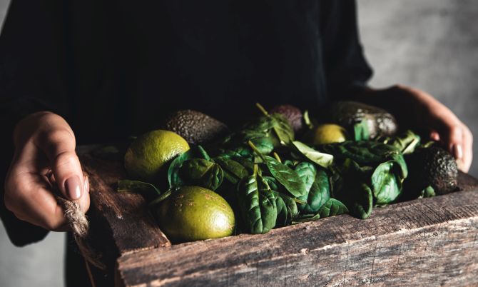 phytovida.com